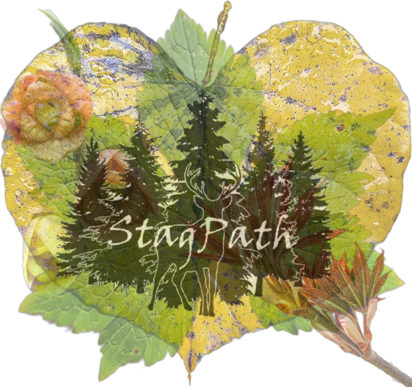 StagPath logo: evergreen trees inside a leaf-shaped collage