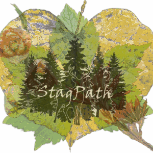 Stag Path Donation