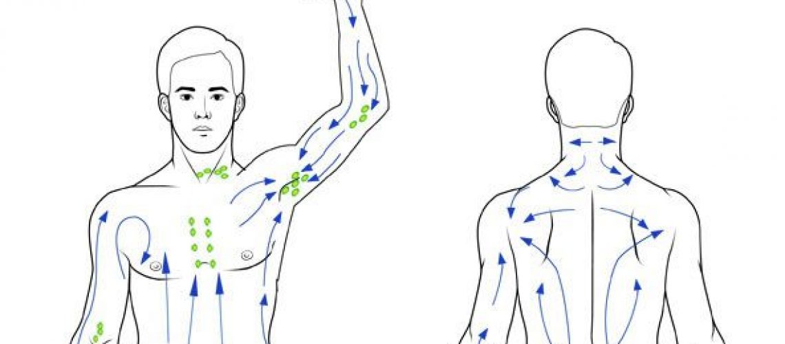lymphatic massage diagram
